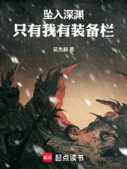 坠入深渊只有我有装备栏txt百度